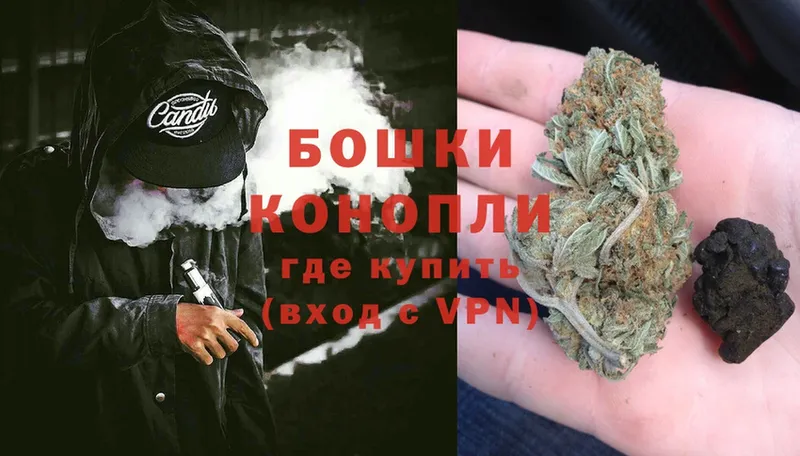 Бошки марихуана THC 21%  где найти   Ставрополь 